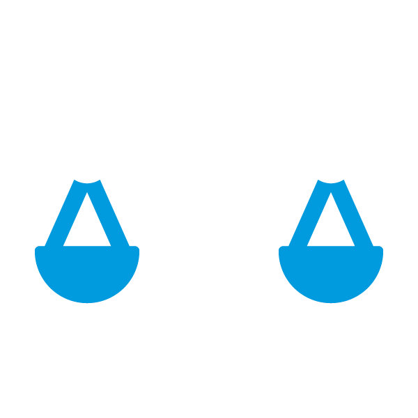 Compregensive Financial Planning Icons_Estate Planning